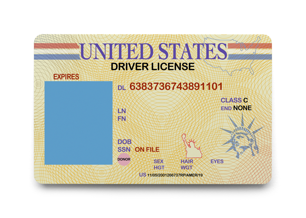 Driver License Template Free